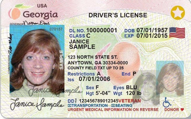 ga drivers license check