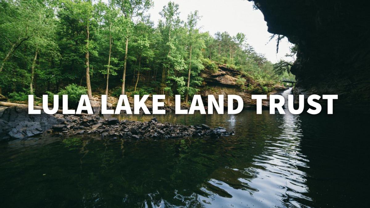 The Lula Lake Land Trust efforts toward conservation stewardship