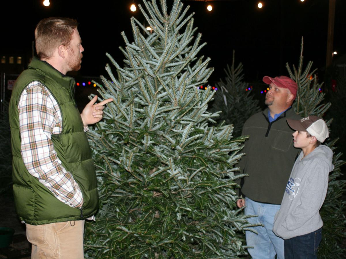 Christmas Tree City Now A Second Generation Family Holiday Business Trees Always Come From North Carolina Farm Business Northwestgeorgianews Com
