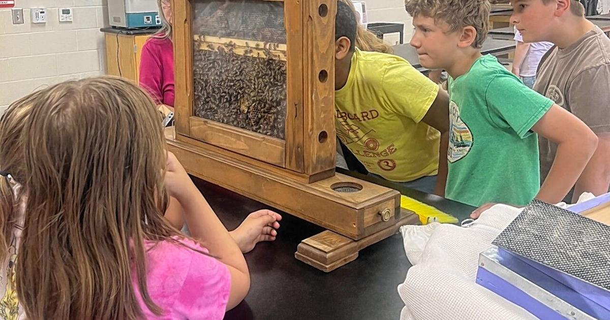 Local kids dive into the world of agriculture at Rome FFA AG Camp
