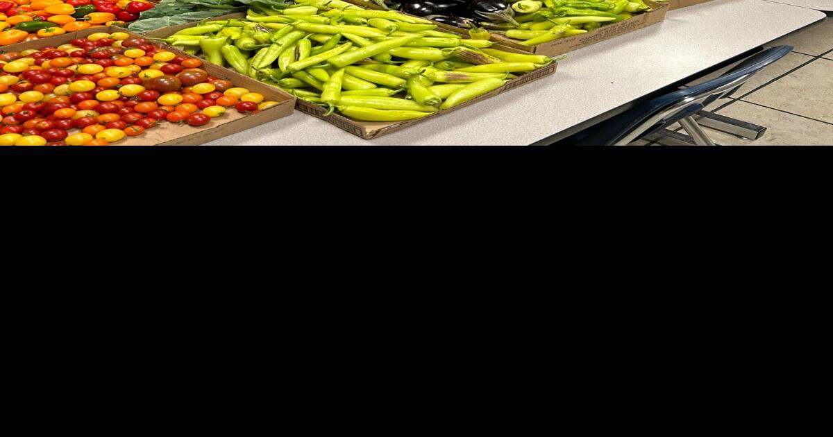 Rabbit Valley Farmers Market in Ringgold Launches 'Nourish North