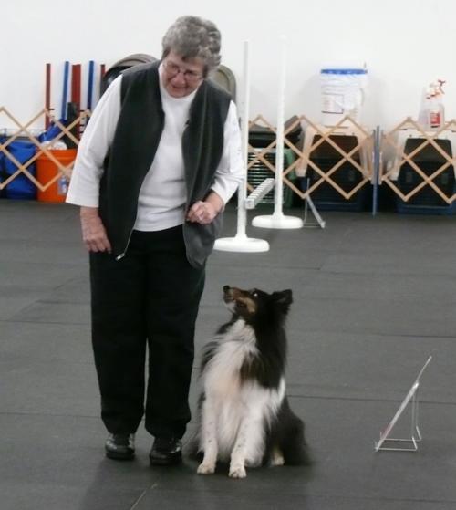 Obedience Club classes