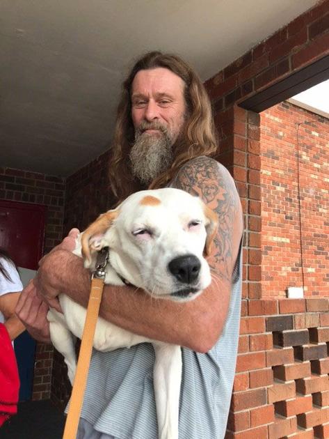 pittie party provides free neuters of