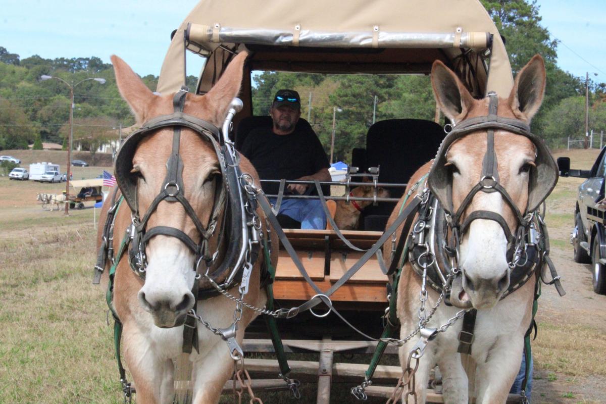 101919_RNT_Wagon Train1.JPG