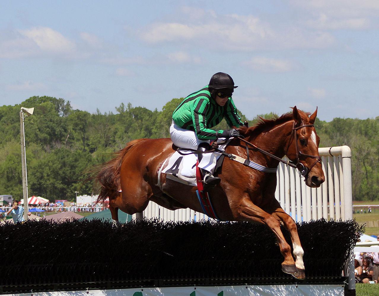 Steeplechase moving back to metro Atlanta area; races planned for May
