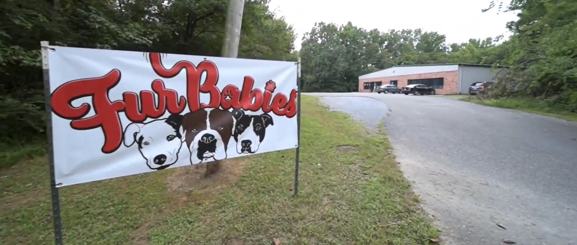 furchild pet nutrition