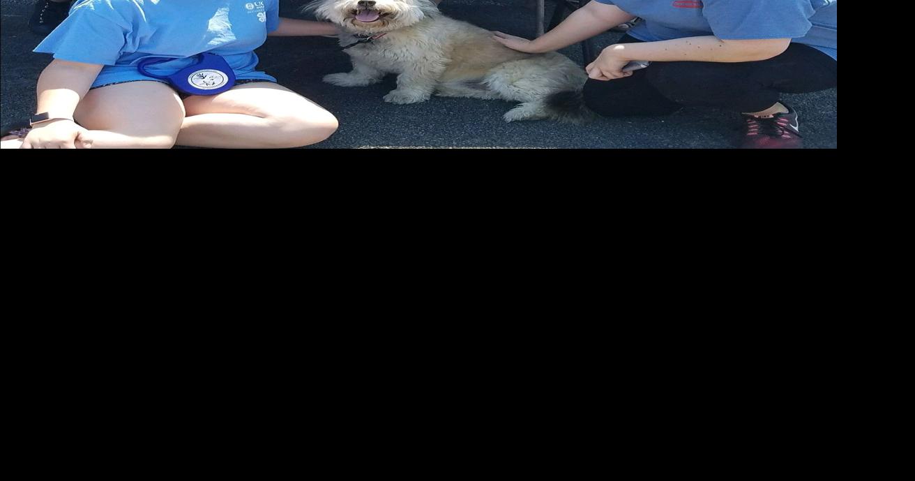 Gordon County 4H rabies clinic returns next month The Calhoun Times