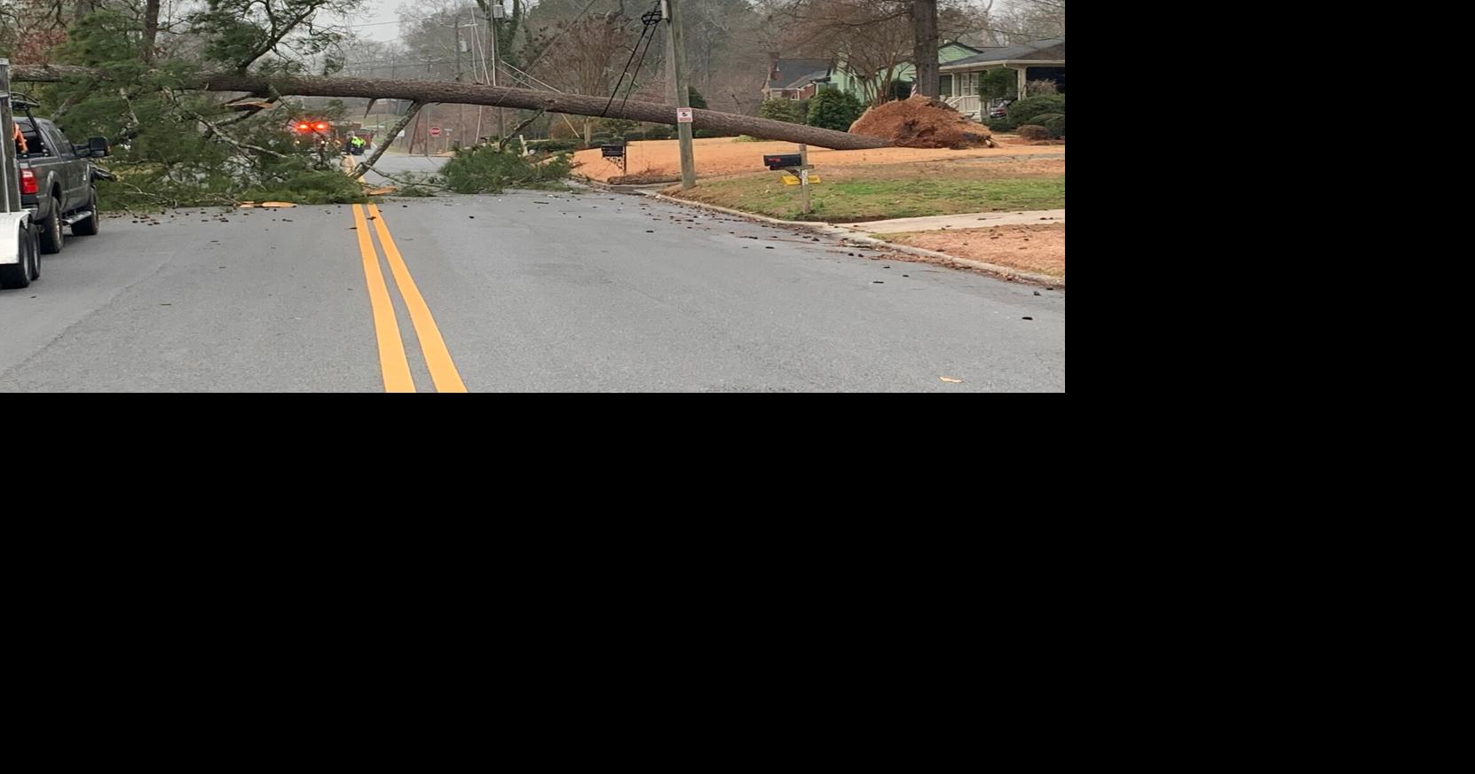 Large Pine Tree Knocks Down Power Lines In Summerville Park | Police ...