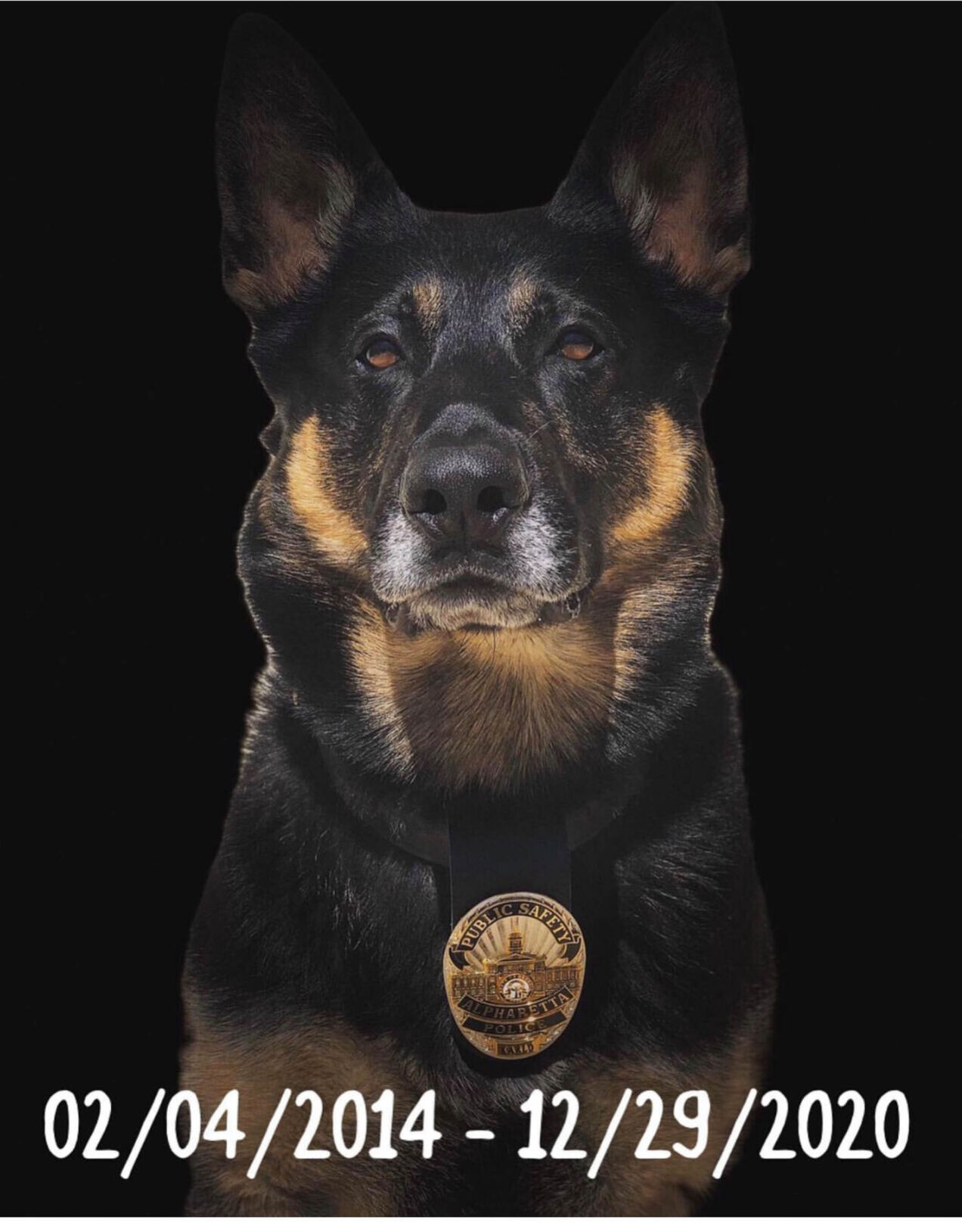 Alpharetta Police K-9 Karlo dies - Vimarsana News