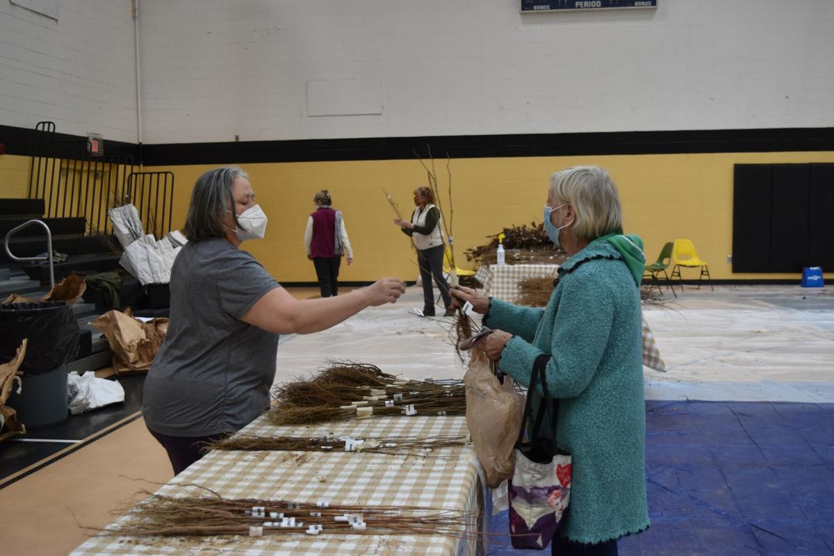 Arbor Day seedling giveaway sees large turnout
