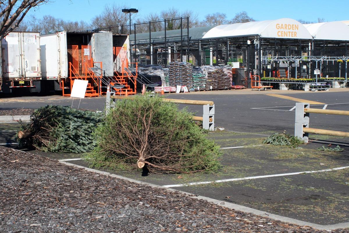 Used Christmas Trees Maybe Bring One For The Crappie Local News Northwestgeorgianews Com