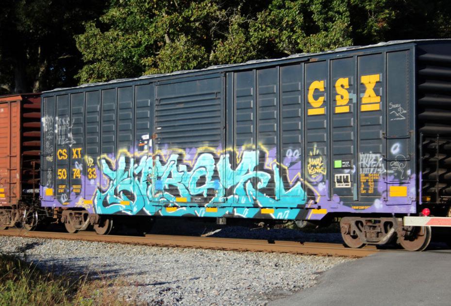 Railway Art Runs Through Floyd County Daily Graffiti Artists Pose Problem For Norfolk Southern Local News Northwestgeorgianews Com