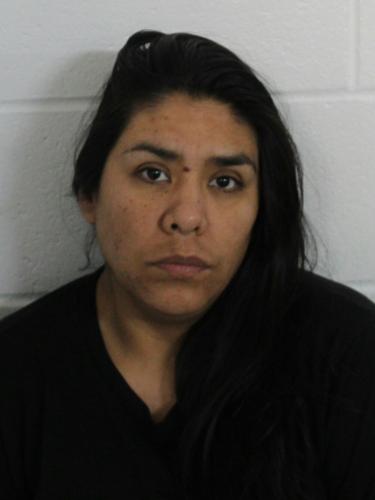 Task Force Seizes More Than Two Pounds Of Meth In North Division Street ...