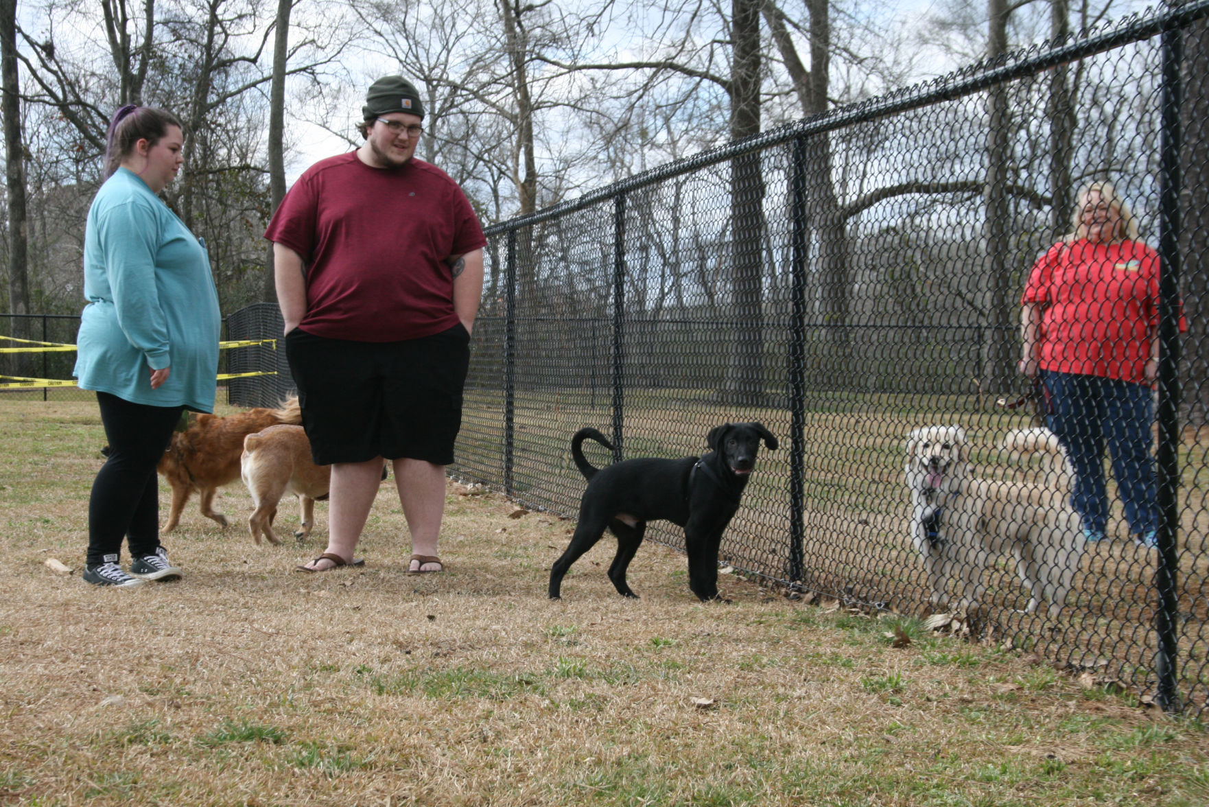 park ridge kennels