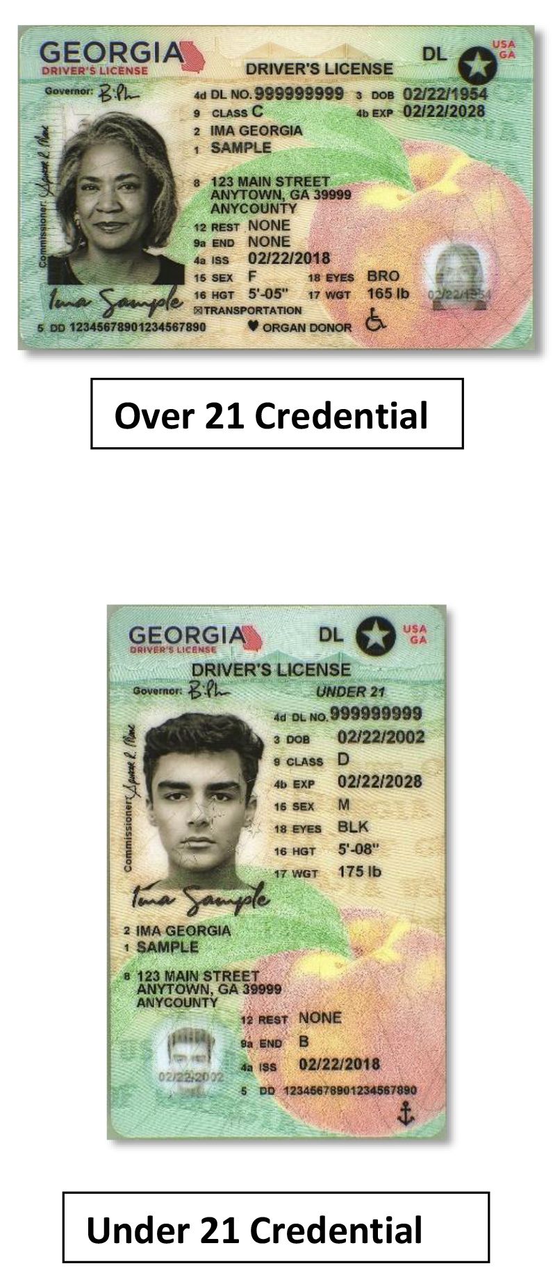 renew ga id card