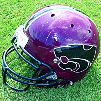 Sand Rock Wildcats