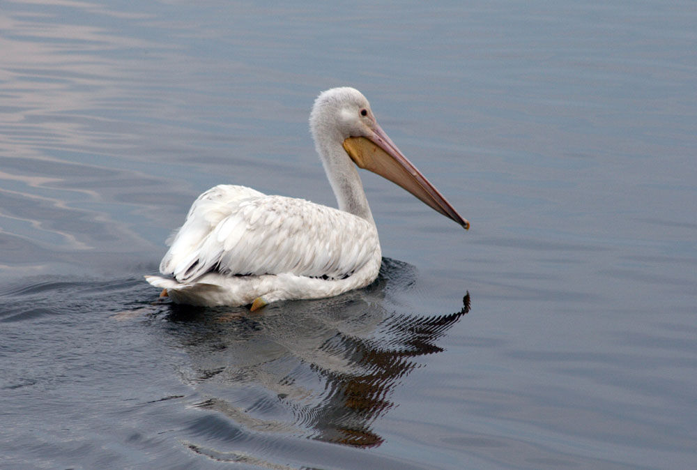 Finding breakfast