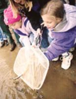 Kids help sturgeon restocking effor | Local New