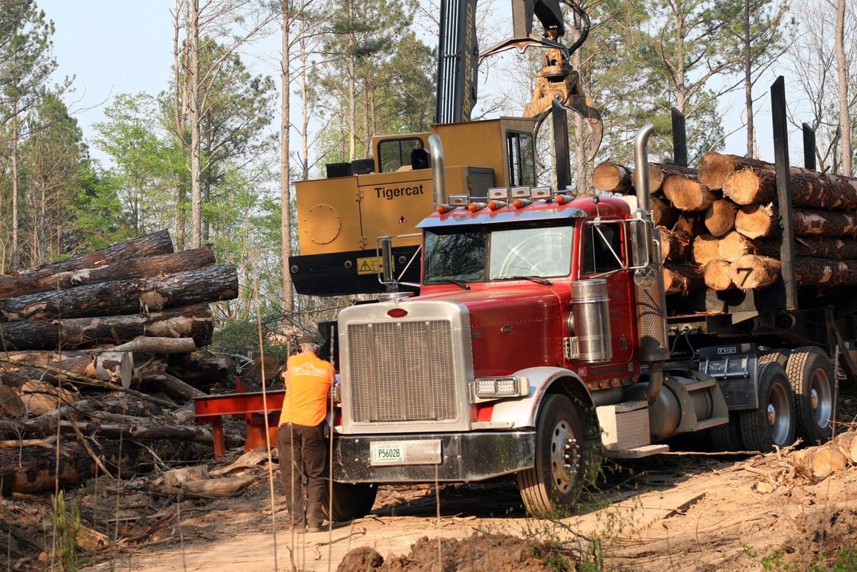 Lumber Prices A Big Contributor To Increased Cost Of Housing Local News Northwestgeorgianews Com Lumber Prices A Big Contributor To Increased Cost Of Housing Local News Northwestgeorgianews Com