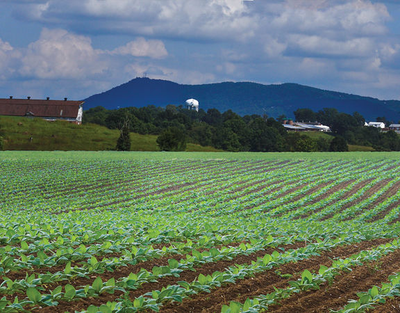 georgia-department-of-agriculture-announces-specialty-crop-block-grant