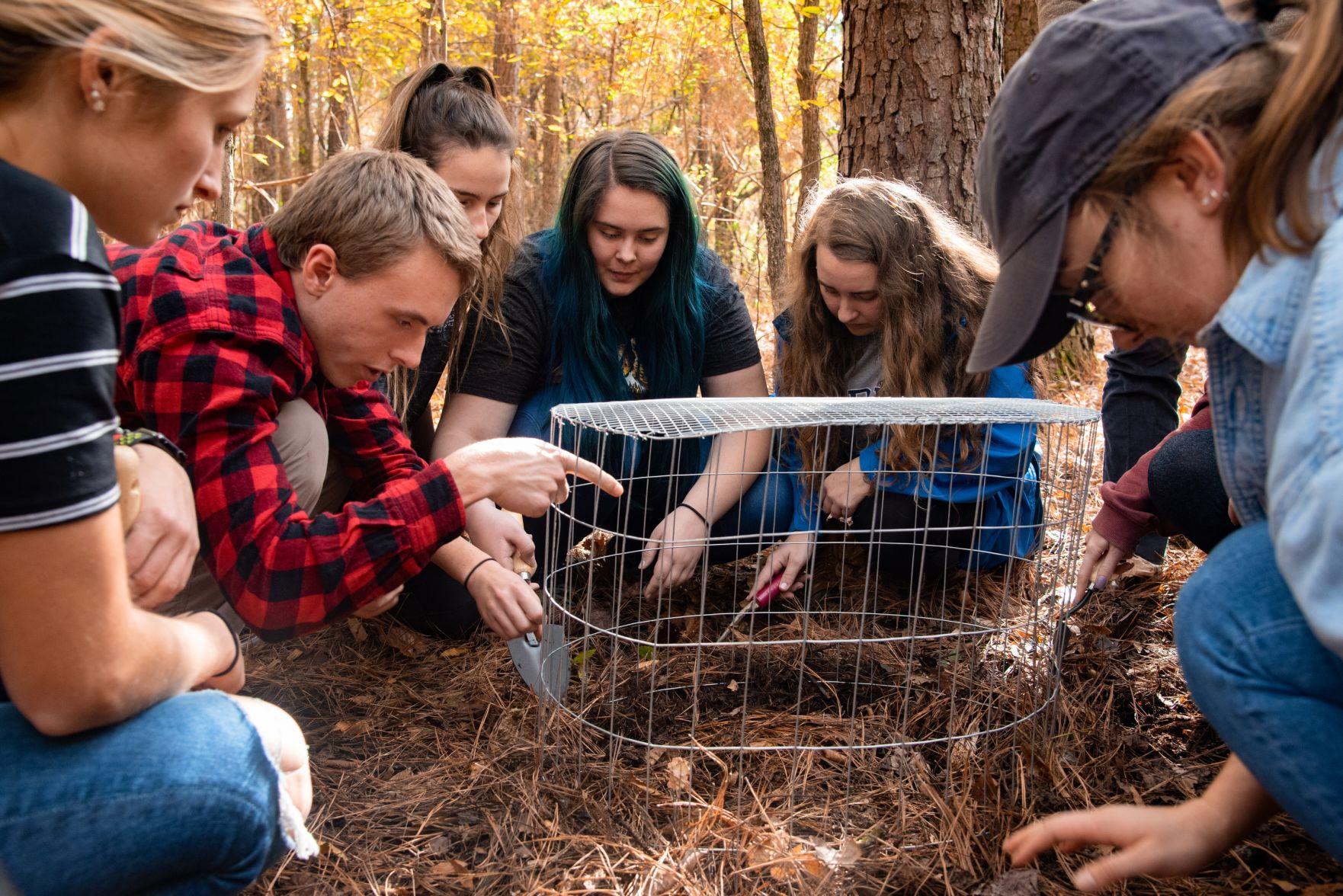 Berry College students cultivate endangered plant species on campus