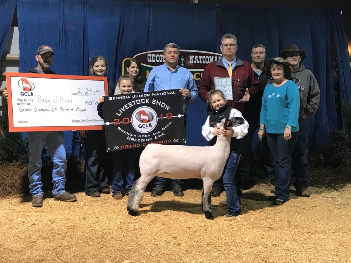 Junior National State Livestock Show The Calhoun Times