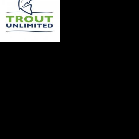 A Beginner's Guide To Trouting In Mayo