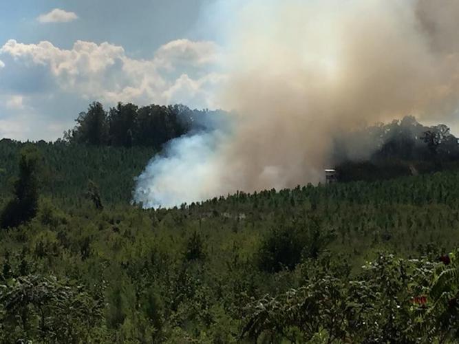 Updated Gordon authorities urge residents to avoid Magill Mountain