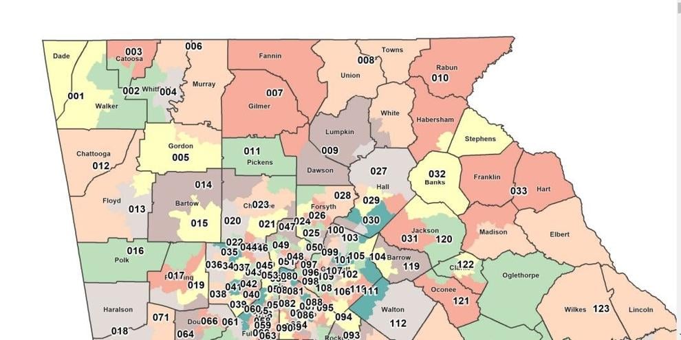 Georgia House District map   northwestgeorgianews.com