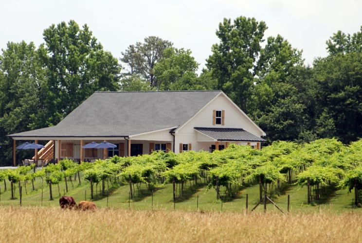 Couple opens first vineyard and winery in Polk County Local