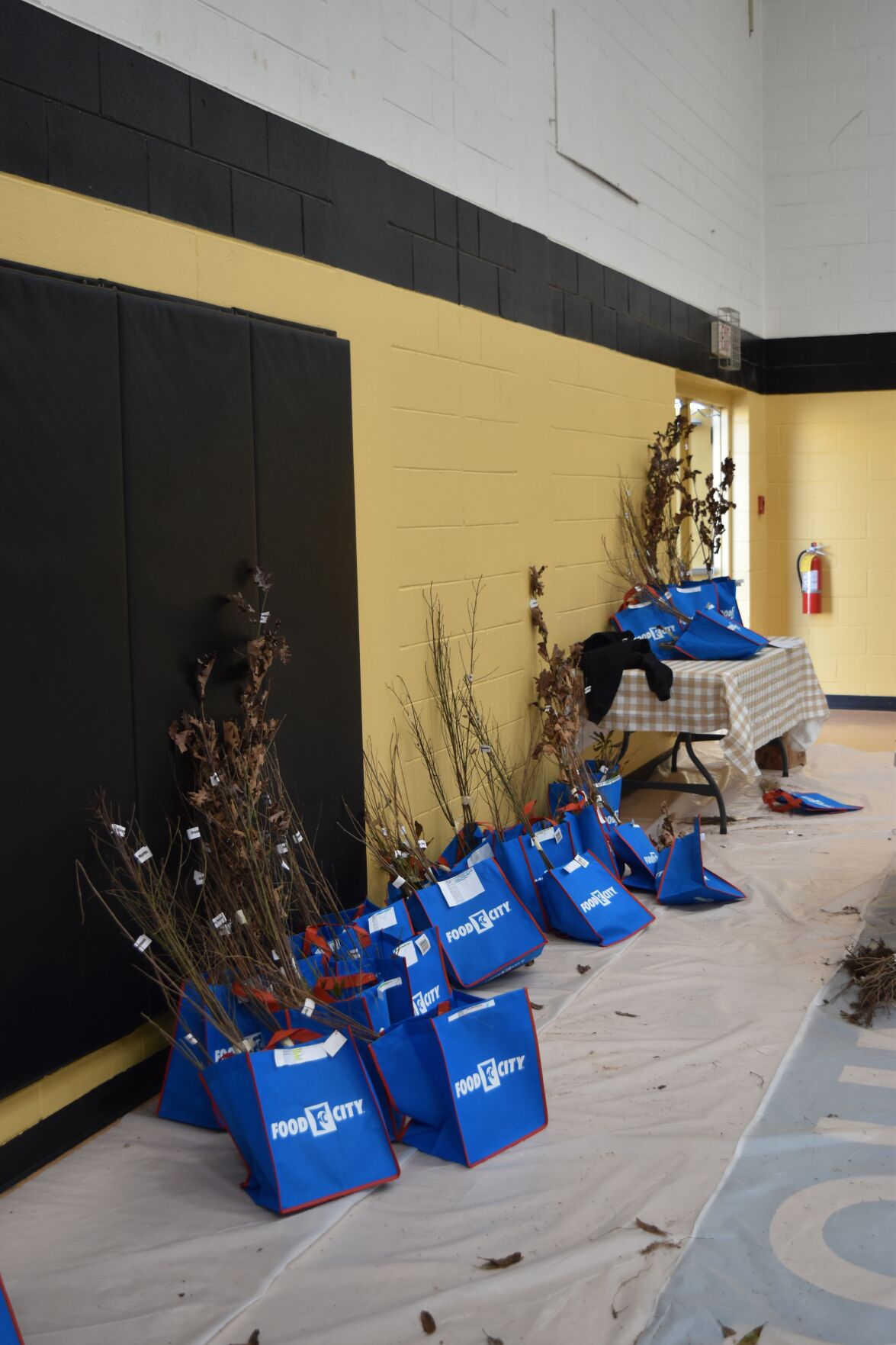 Arbor Day seedling giveaway sees large turnout