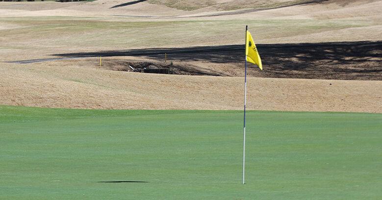 GOLF: Bowman, Langford qualify for State Amateur