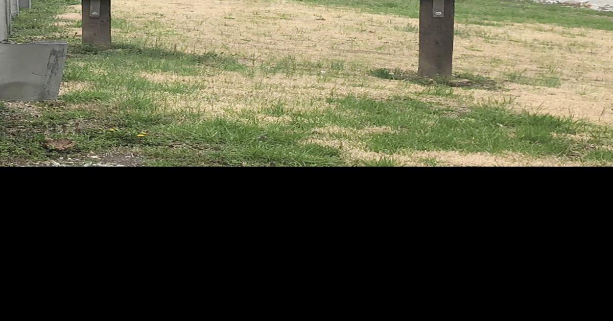 Body of missing Ringgold man found in South Chickamauga Creek near