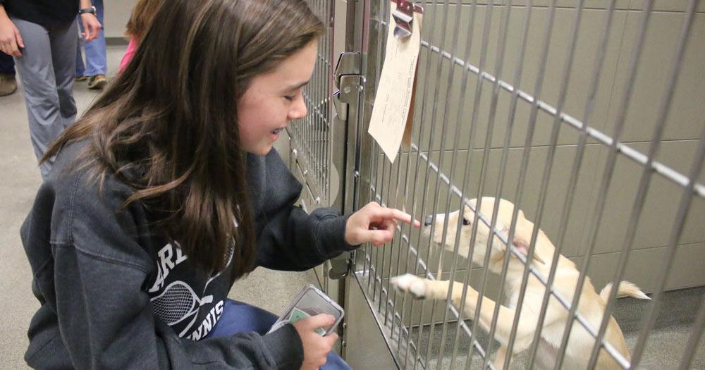 Rome-Floyd PAWS opens with more space, medical-grade HVAC | Local News | Rome-Floyd PAWS opens with more space, medical-grade HVAC | Local News |