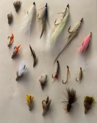 TALKING TROUT: White Bass Fly Fishing