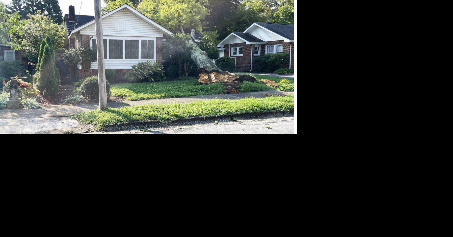 Tuesday Evening Storm Downs Trees, Knocks Out Power Across Gordon ...