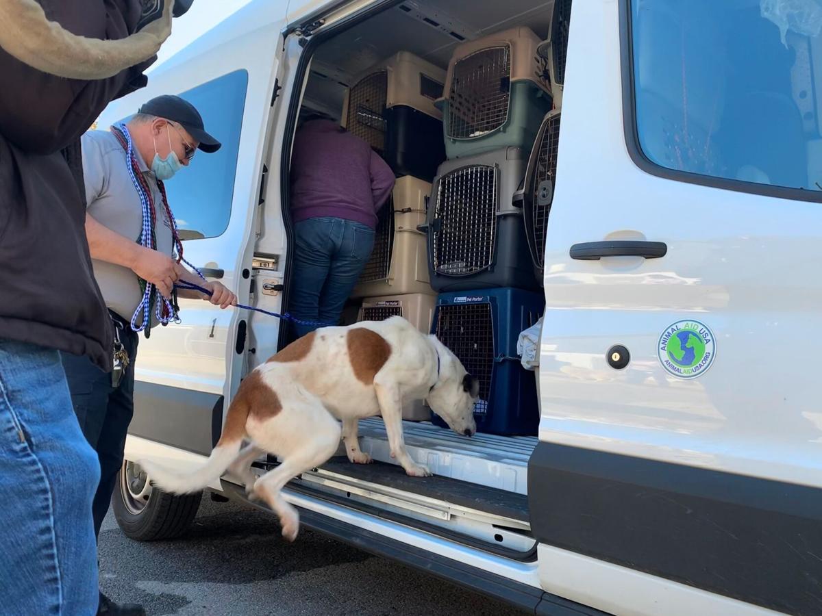 Catoosa County Animal shelter largely emptied on Jan. 22 Catoosa