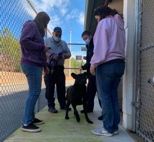 Catoosa Animal Control hoping to return to normal operation