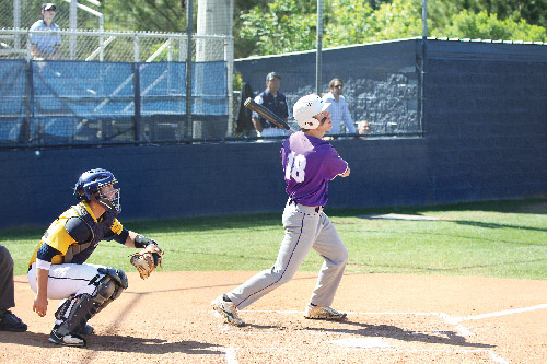 Darlington baseball