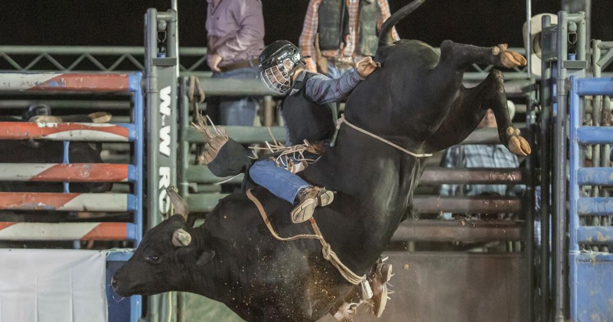 Ben Calhoun Rodeo A night under the arena lights: Calhoun Stockyards to host its ...