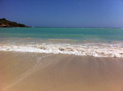 Turistas Encuentran La Muerte En Playa De Vega Alta Noticias