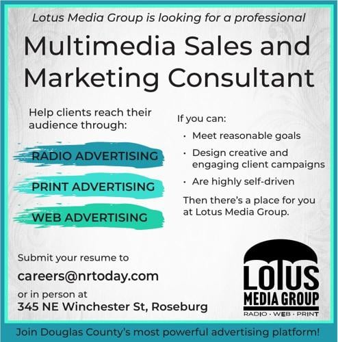 Multi-Media Marketing Consultant