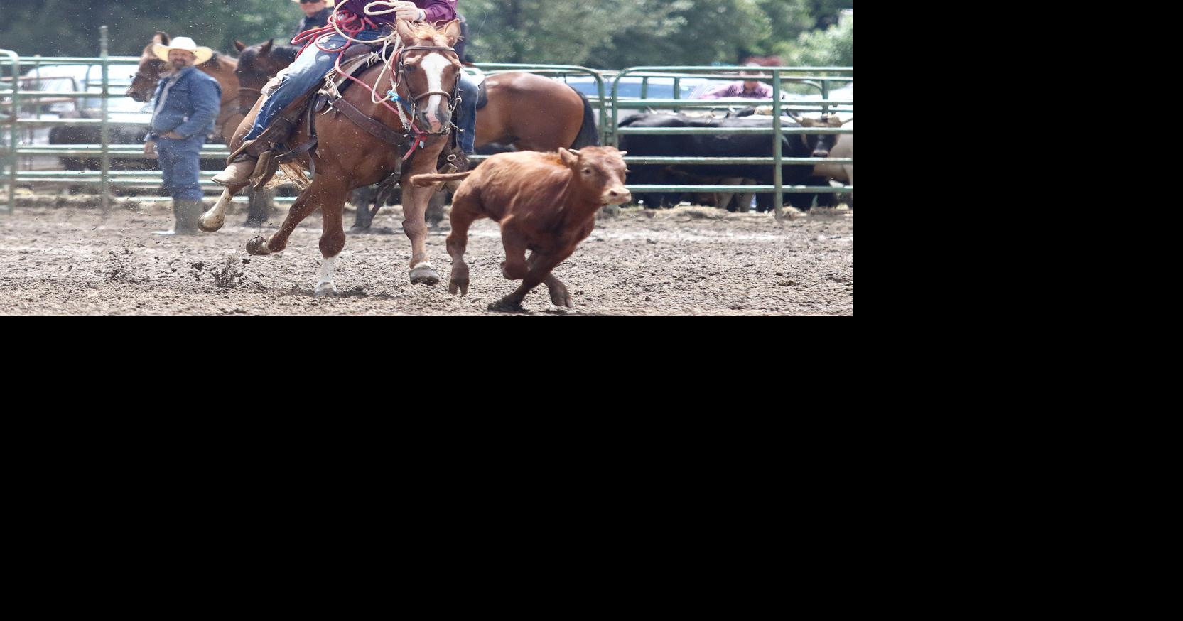 It's back: South Douglas Rodeo returns with thrills and spills ...