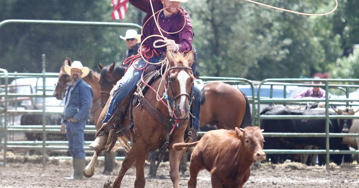 Doug Edwards Rodeo It's back: South Douglas Rodeo returns with thrills and spills ...
