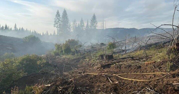 DFPA Crews Deal with Shed Camp Fire on Wednesday