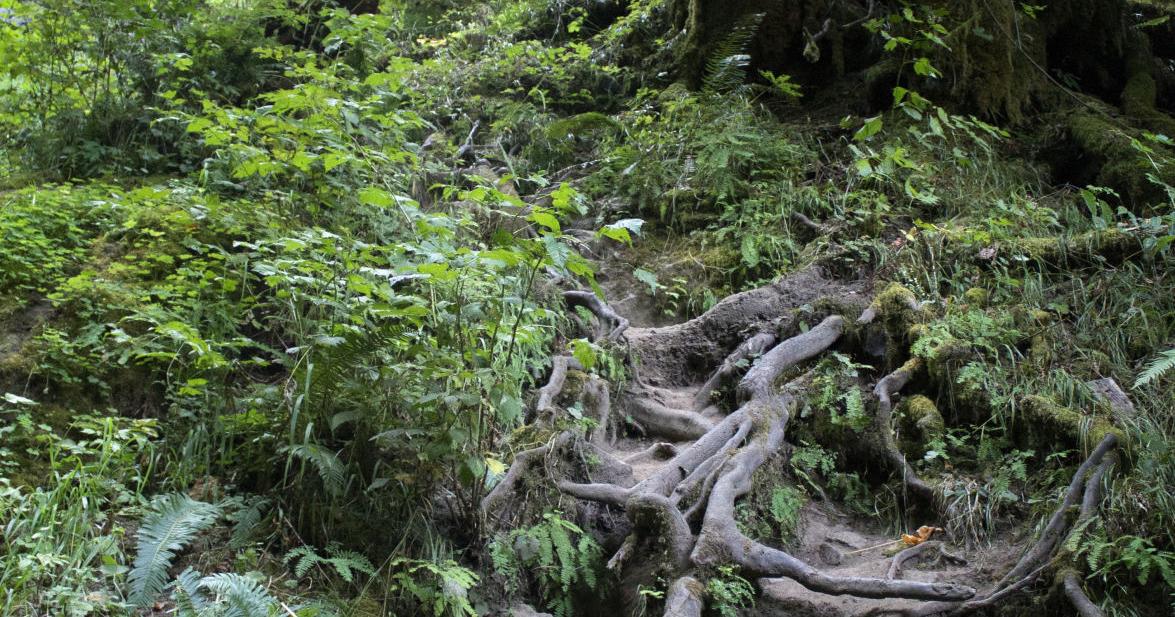 Explore Oregon Summer s Last Hurrah At Loon Lake Hiking Nrtoday explore-oregon-summer-s-last-hurrah-at-loon-lake-hiking-nrtoday