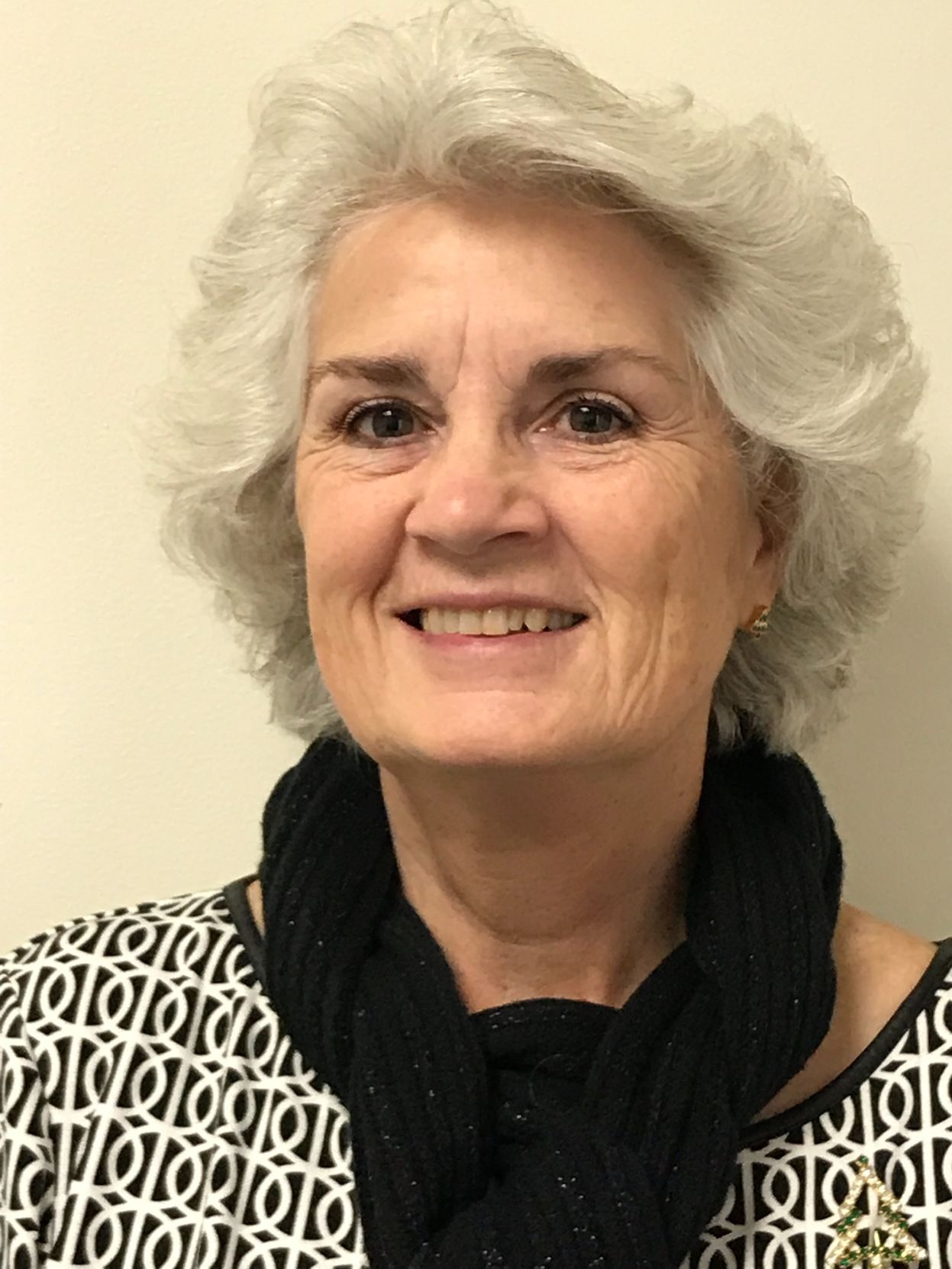 Chamber Corner: Embracing the holiday season in Riddle - Vimarsana News