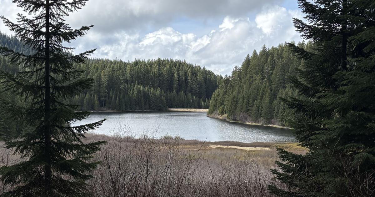 Hemlock Lake