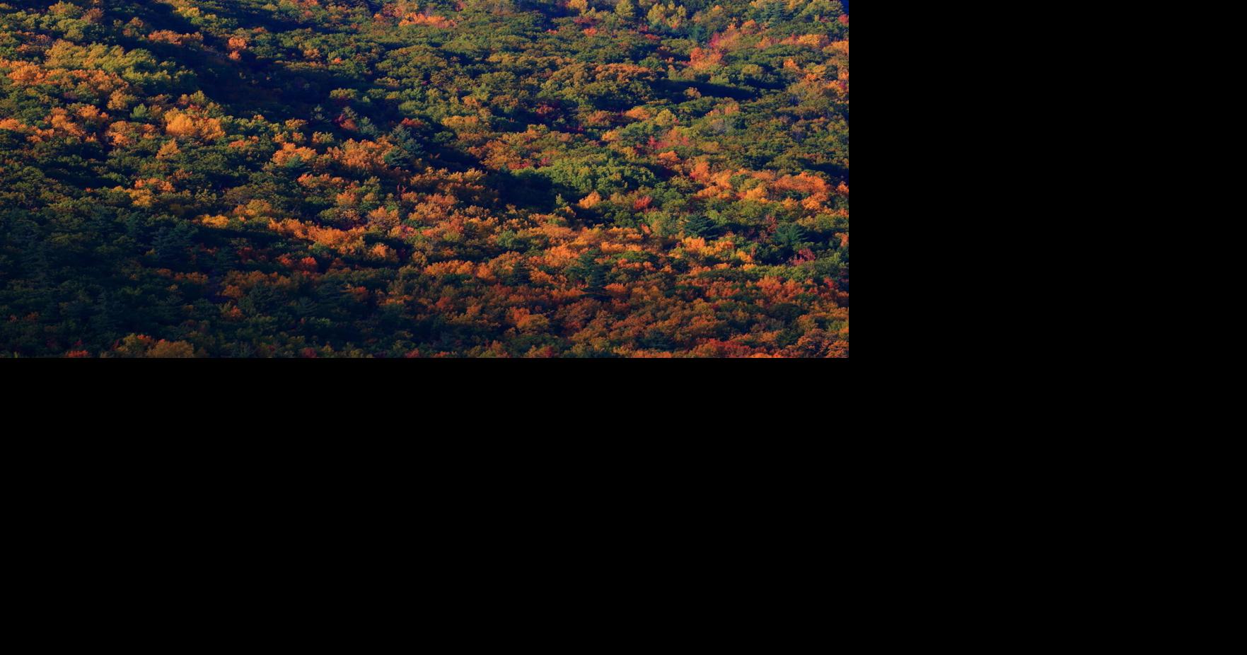 Next stop: Fall foliage | Travel | nrtoday.com