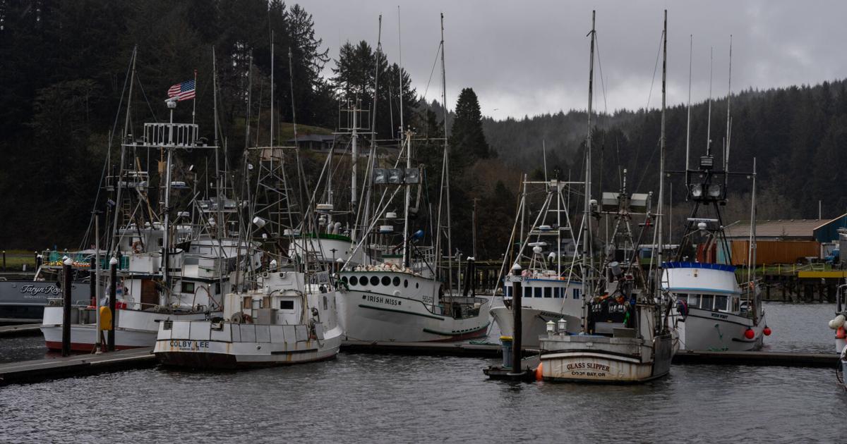 661ef26e8629a.image.jpg?crop=1763,926,0,